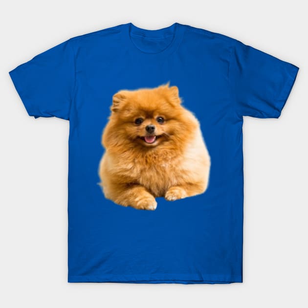 Pet Sherry T-Shirt by Urban Vogue